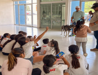 Fomenta Municipio cultura de bienestar animal con actividades dirigidas a niñas y niños