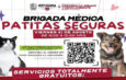 Brigada “Patitas Seguras” llevará atención veterinaria gratuita a Villa Esmeralda