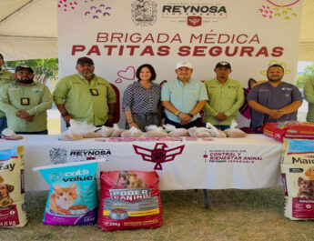 Atienden a 141 mascotas con la Brigada Médica “Patitas Seguras”